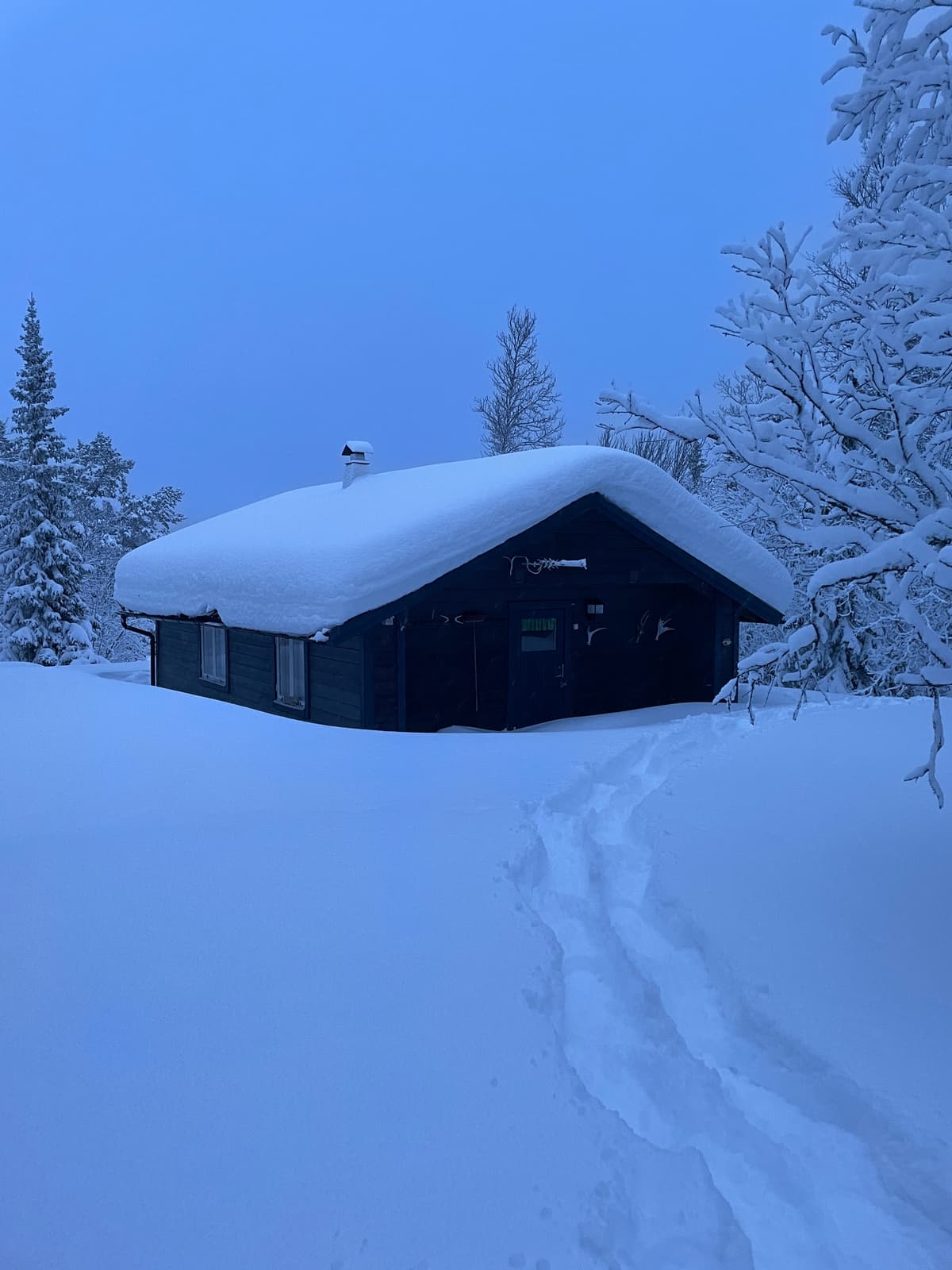 Snöskottning Tak